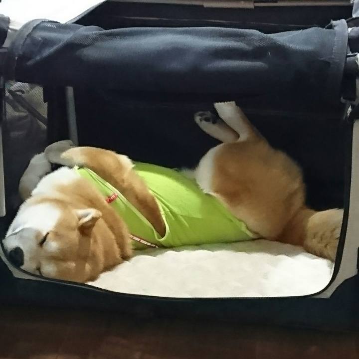 55600168 e5f1 4fe5 b168 8e53443b6c92