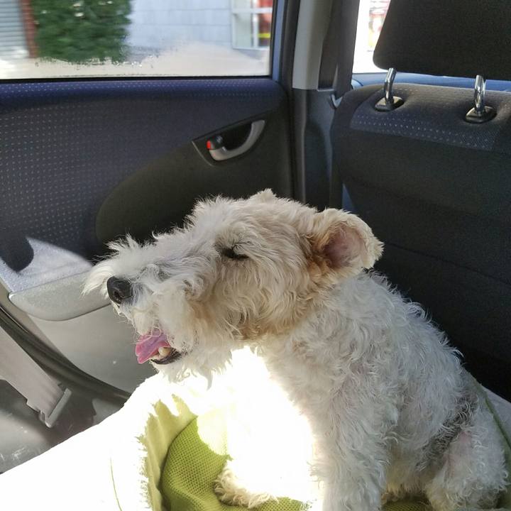 55604123 4ec0 4579 8dab 86fb042918b0