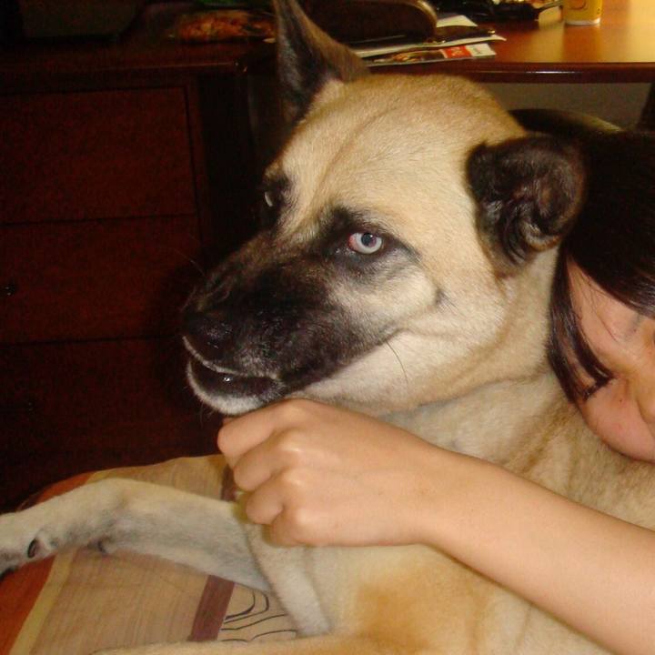 55608f2c 308d 41df b3e6 1da427d76b63