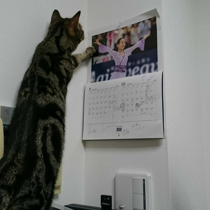 5560e9f8 f505 4eb9 8109 c3d652e81044