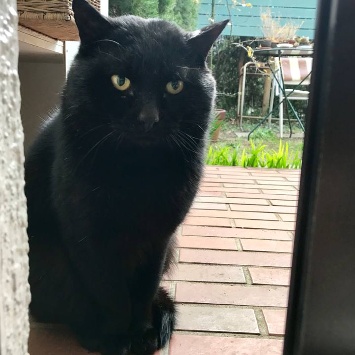 5560f41b 4f00 40a1 874c 5743c3be02e9