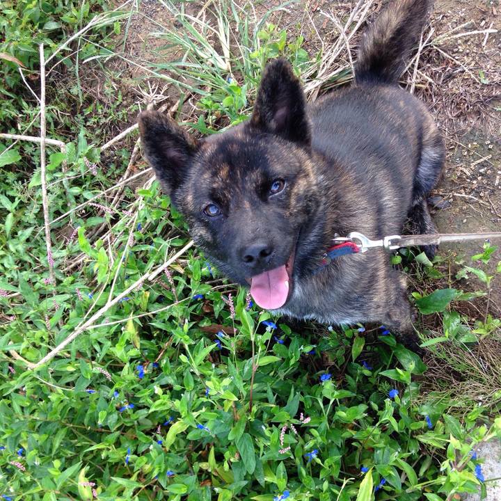 55611396 f17b 40a1 a904 141c2016b8eb