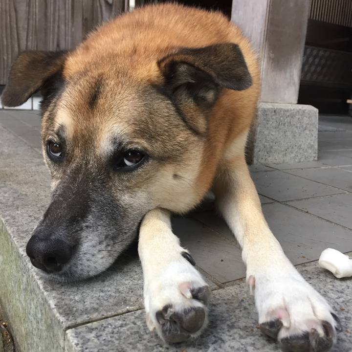 55611e04 74f9 4e39 b781 f04abedcc63d