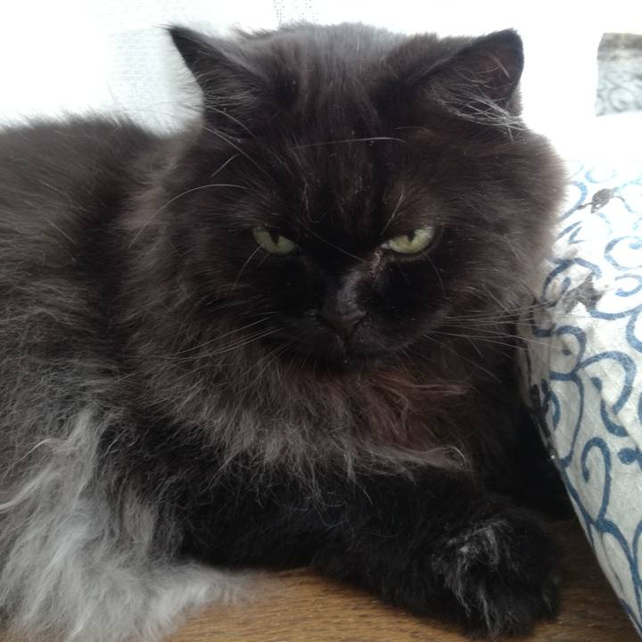 5561d055 707d 4bc7 8071 75306b4cd2a8