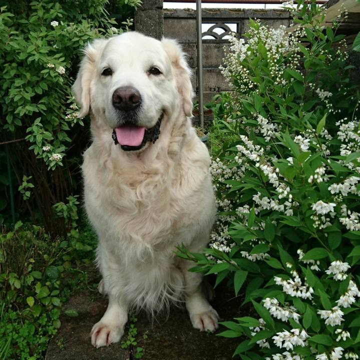 5561ed5f f1d2 4cf1 b988 30ebc55c1e6d