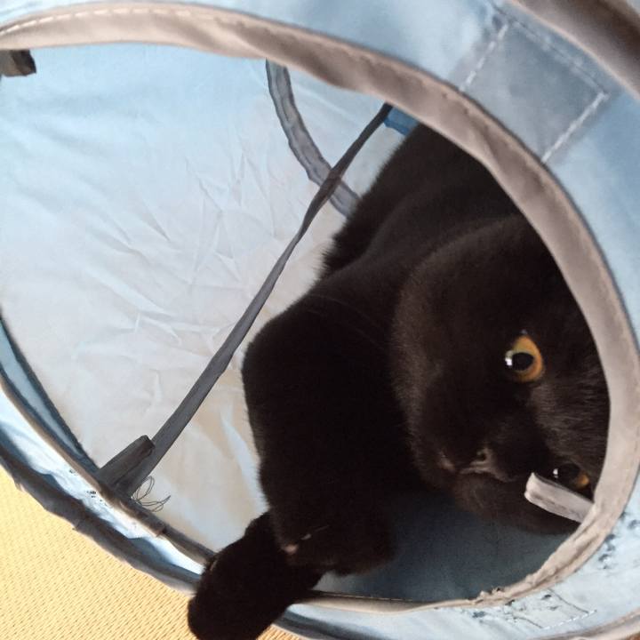 5561fd85 c0b2 4238 87fb bb8ab226a9b1