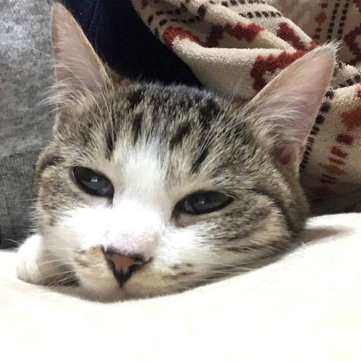 556230bd b16b 4523 bd67 f7e01d6b0ca1