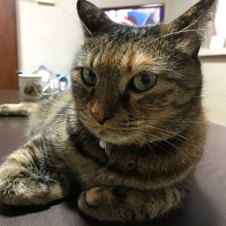 55630c1b 6ecf 4876 90e0 3d4ceec61a6e