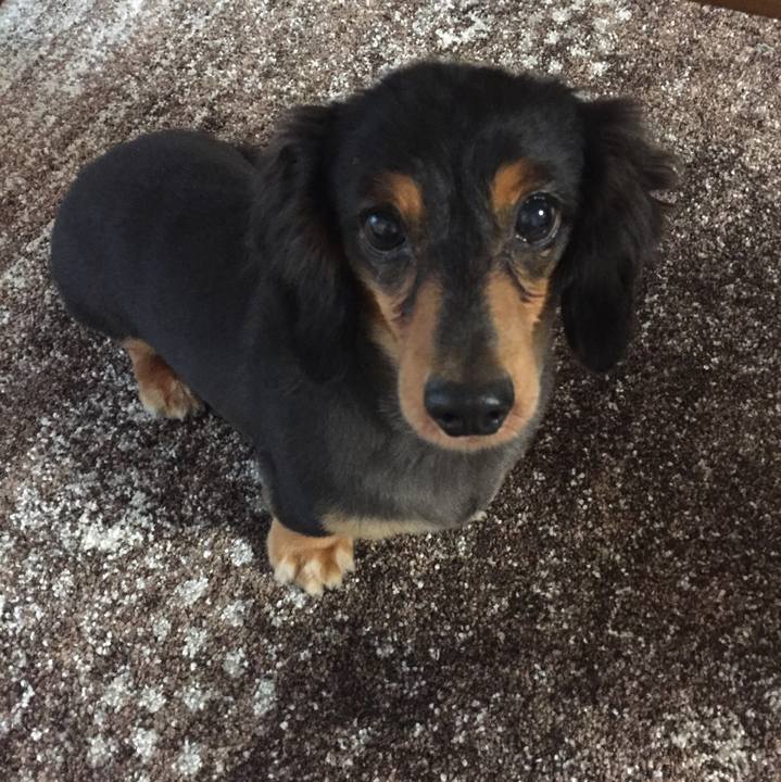 5563183a 62a4 4ae6 927f e9844eee1be8