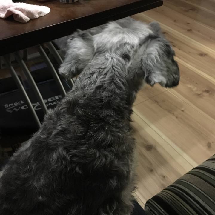 556330dc 76b0 4ab8 a0ee dcfb5c8d44ec