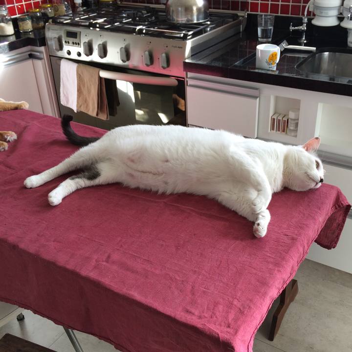 55636e0f 2f50 4a7c b13c 2381733f5eff