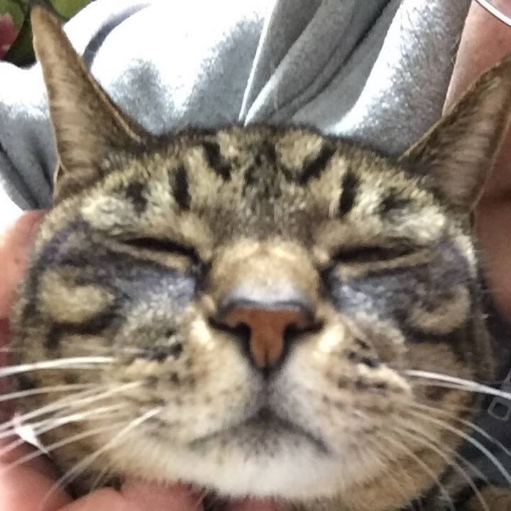 5564a1b6 9df1 4609 9b6a 59f62c4ee382