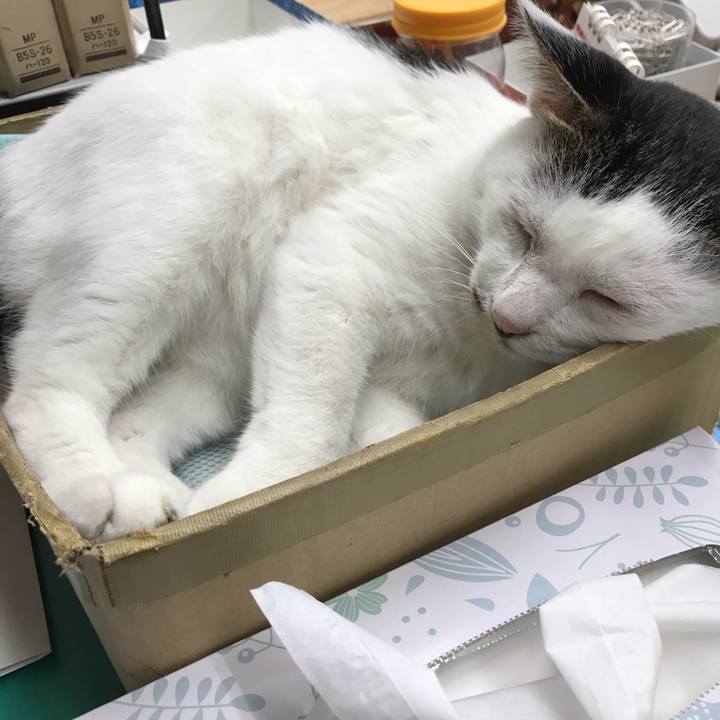 5564a7c5 eefc 418a 8d94 a6ee72db95a3