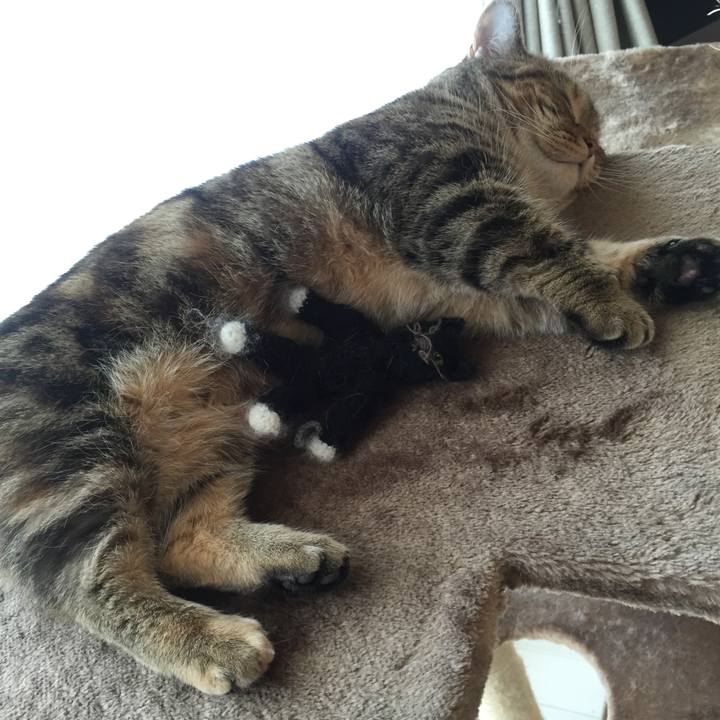 5564adb5 2b0d 4ebd 8f36 b778f29c1b6b