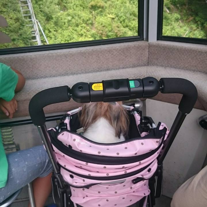 5565891d afc1 4b0b 94ac da41fcc770b8