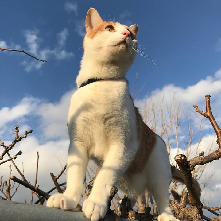 5565aa3f a54b 4ef5 8cab f6e6a2b789c2