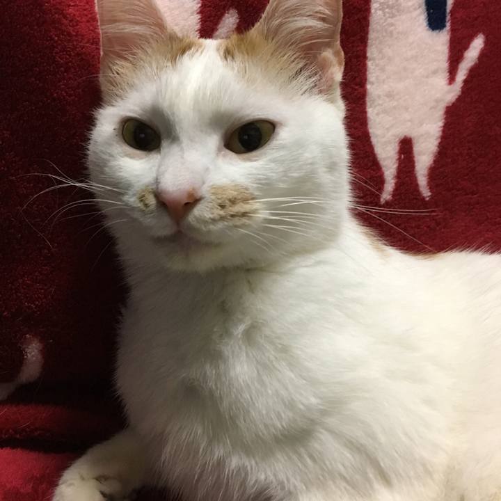 55661530 e48f 4215 b0ab 5558bccbe6e1