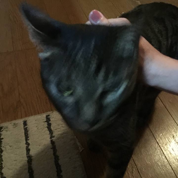 55668ba8 9164 447c 99dc 2847f118371d