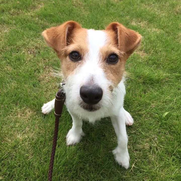 55669163 0c16 4c4a bbad 7c1ae35736b3