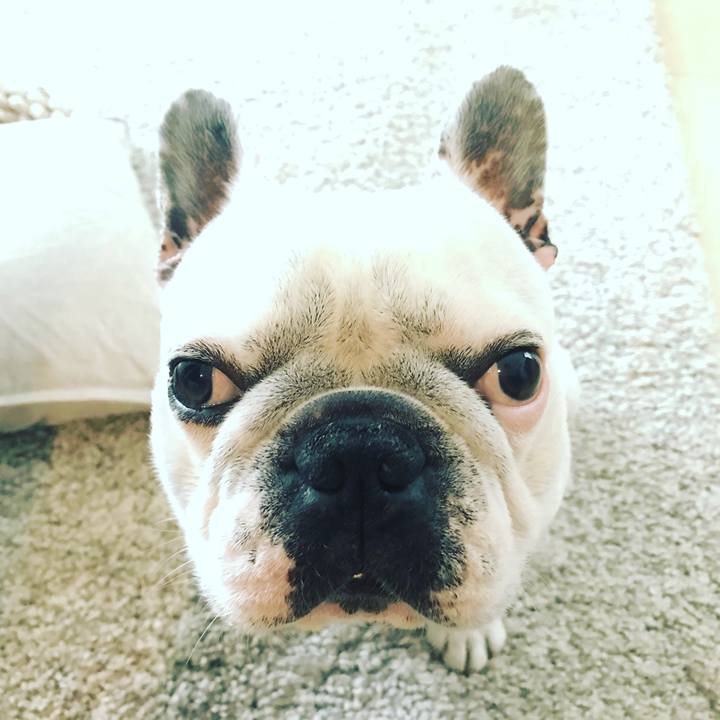 5566df4b 94a1 435e a57d 17688c3e23f0