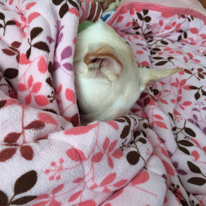 55671bd9 a775 48f2 b69e 8c7a7223267f