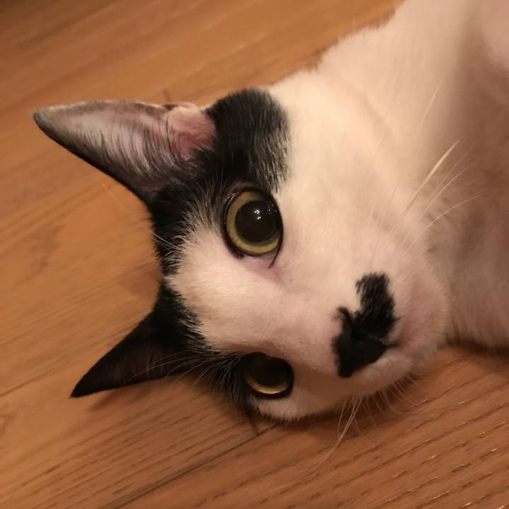 5567b08d 3681 4610 9c18 f9e29dd7ce98