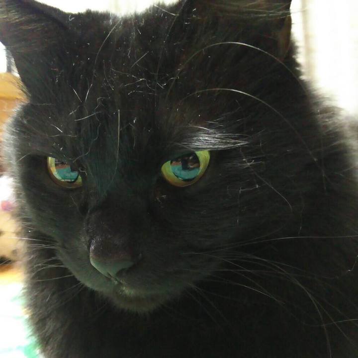 5568eb29 b25f 4748 8d8a 040dcec8c094