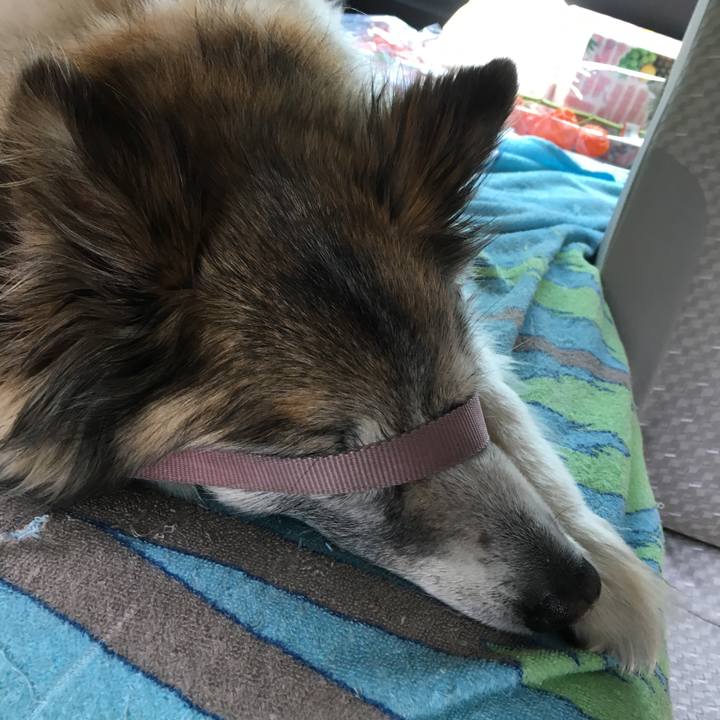 5569a885 ebad 42f1 ad2b 68efe1525cb1