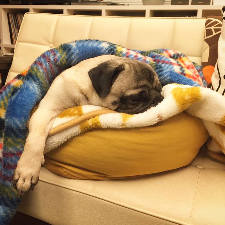 556a3495 1675 45fc bfad 3e5928cbdccd