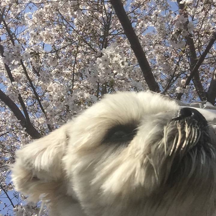 556ac38c eaf9 4509 9e06 1a057ae1dd91