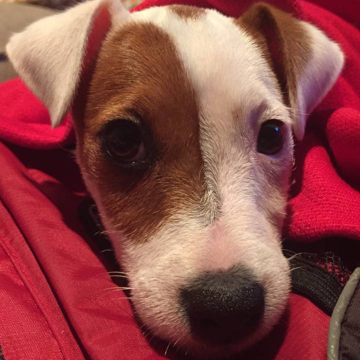 556ac792 d2ae 42cc 911b 225313b74126