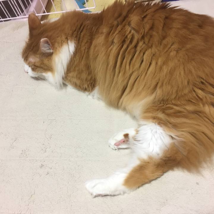 556bc707 3d53 484a bbd0 8c6acb3bc46e