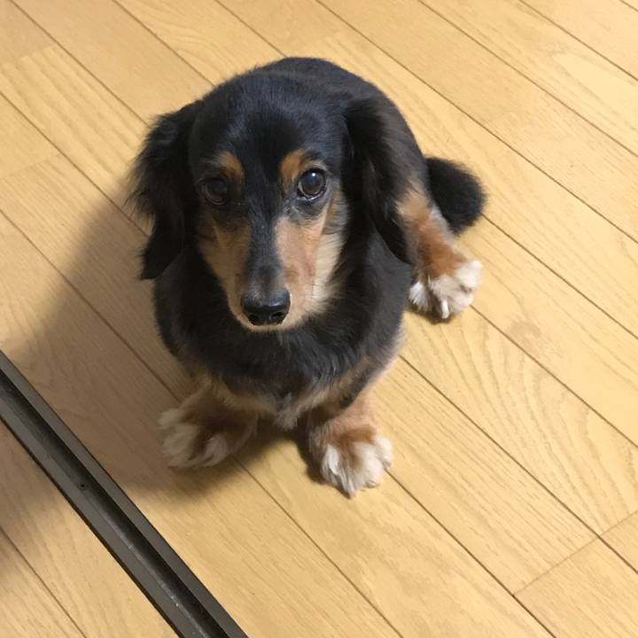 556c8933 ab46 492c 91b4 48d4bcdf6614