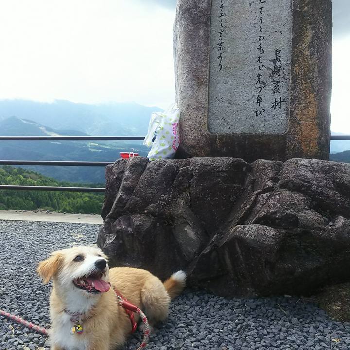 556cc4de 882b 4298 8ac4 1a08d49c1b61