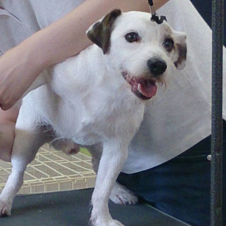 556d3d5d 5604 4469 a3ae b12a6057ee56