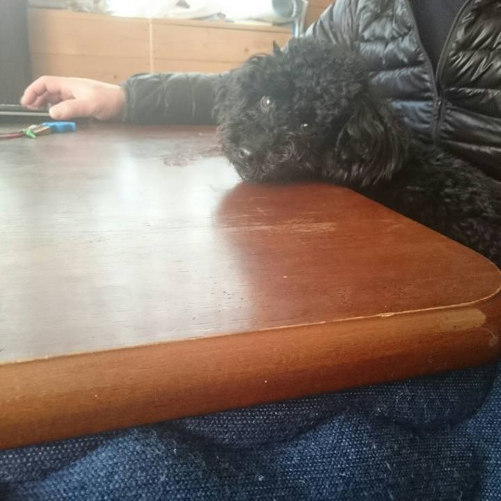 556d8768 5f36 416f 8375 0f151cd123a6