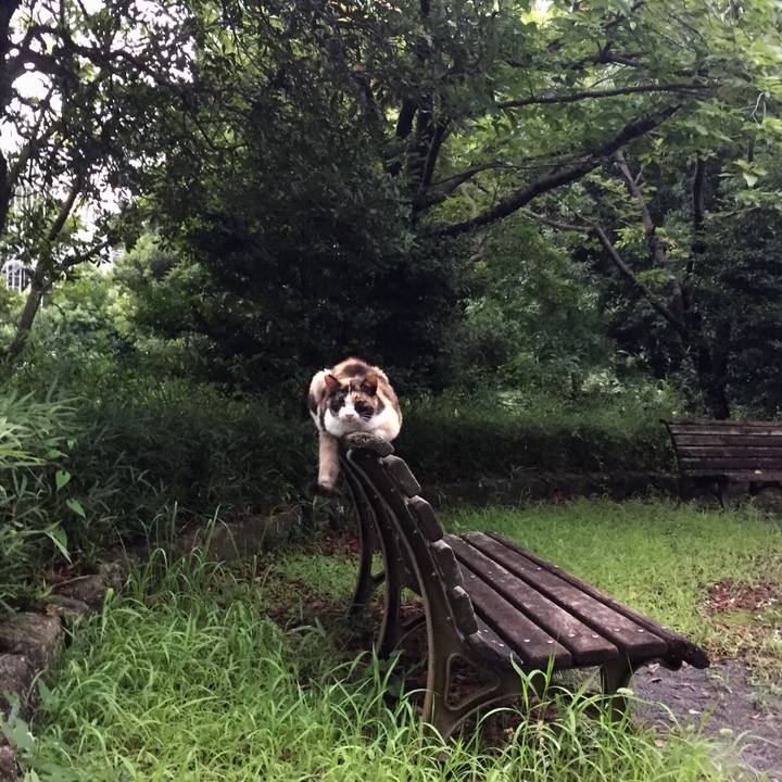 556e4180 4672 41ef b9ae 649e2392490d