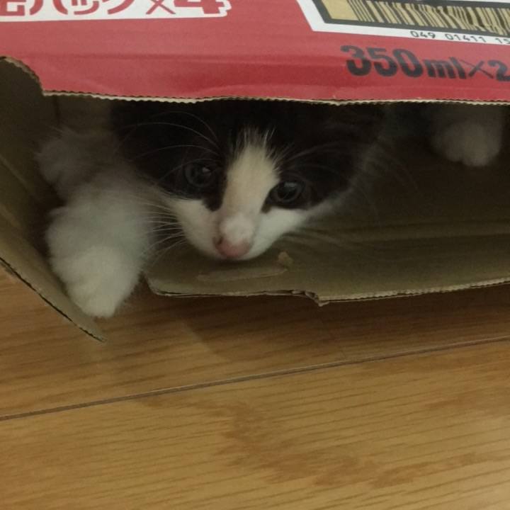 556fd168 1807 46f2 b25e 0c4ccc45683e