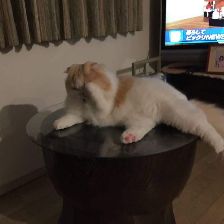 55708cc1 0454 41bb b1d4 f7e496325389