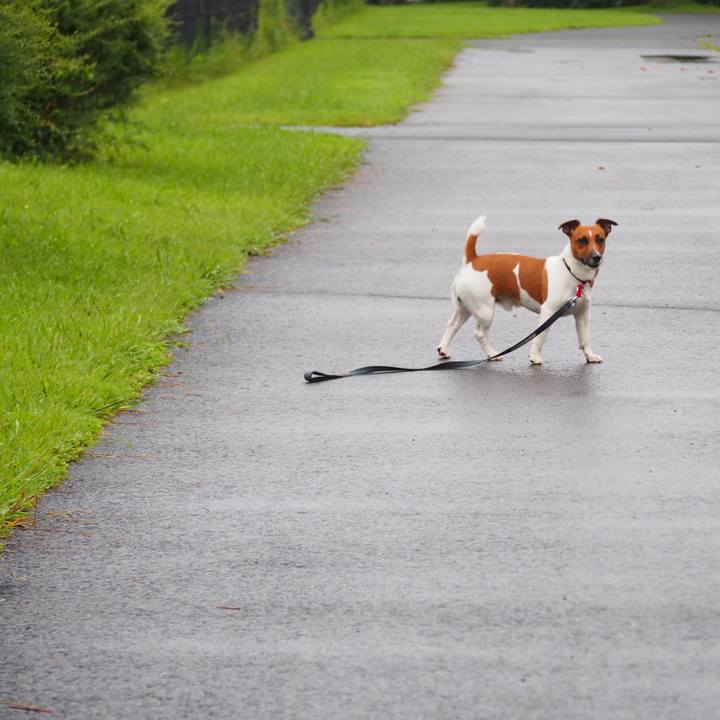 5570c43f c5e3 4af8 a193 05fc33877d19