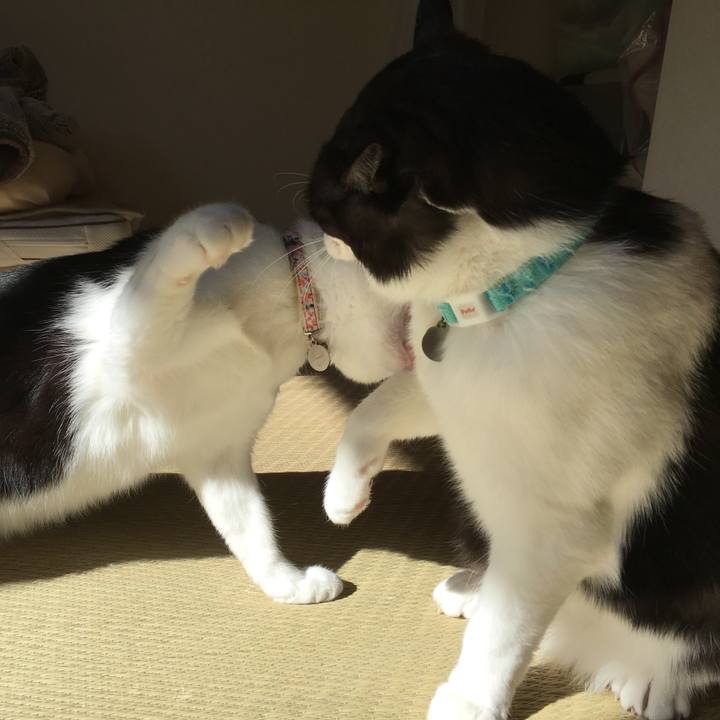 5570fbc9 2be9 49a6 a57d 83ce15094568