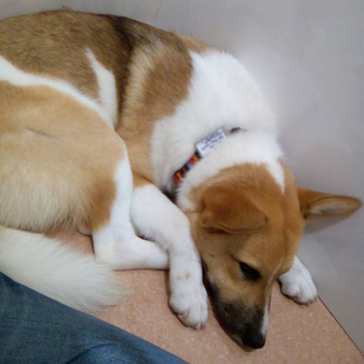 55710360 9061 4dd7 979e 256992513c1d