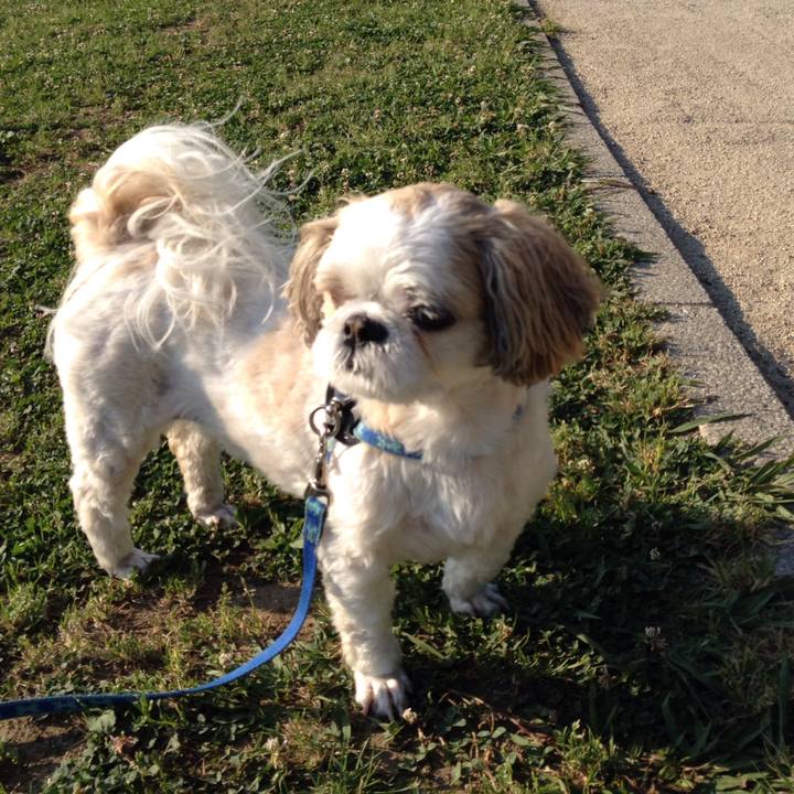 5571ba65 f7e0 4a1a aeae 6f8cb092f528