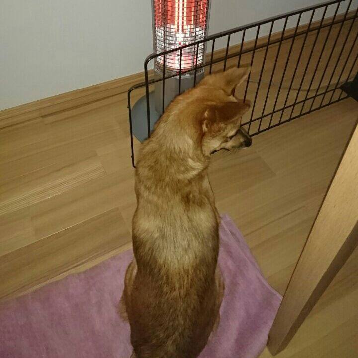 55733682 1b94 4dde 9fd0 2e25684d8a72