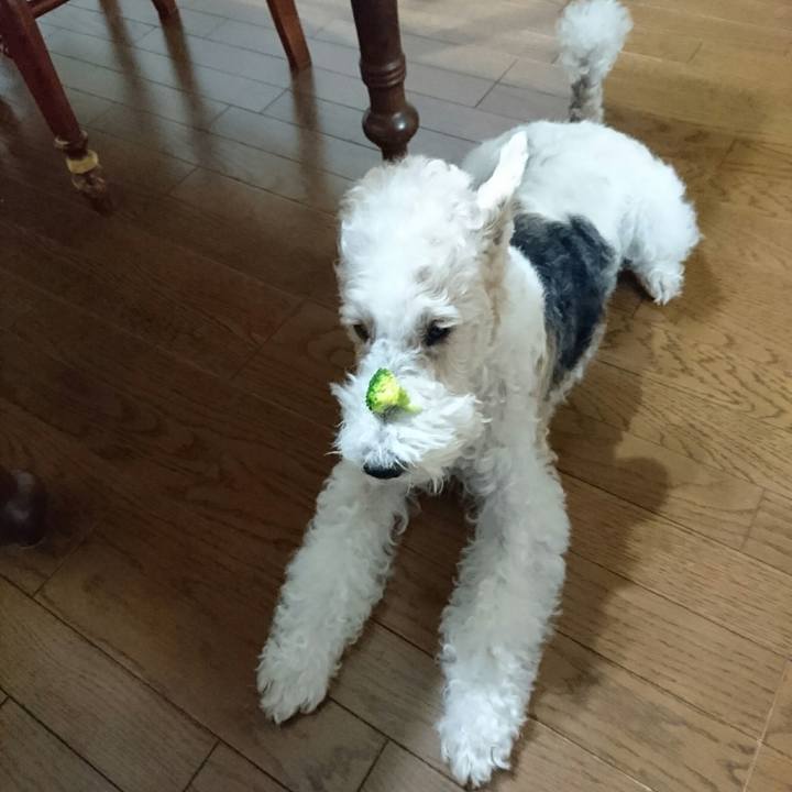 5573fb11 1f49 4bb8 97c0 66d510b1c25b