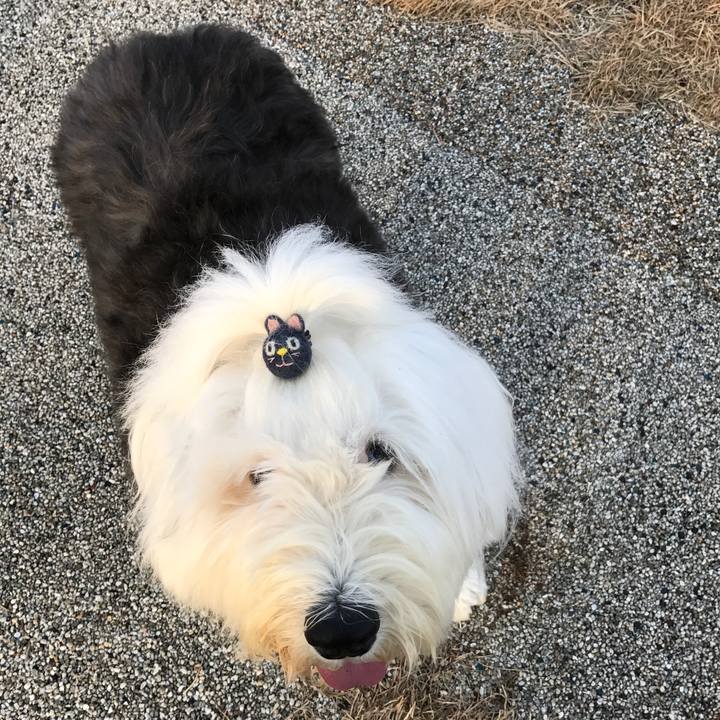 557428c7 eb3c 4276 9150 73dde80df67e