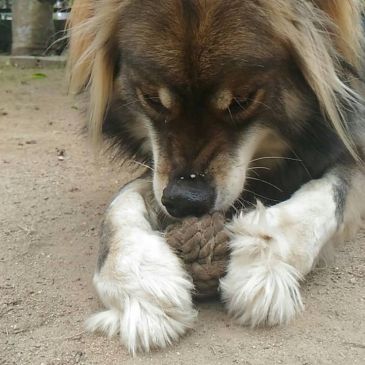 5574ee82 0ee0 4274 a309 a4ca7d1f76ad