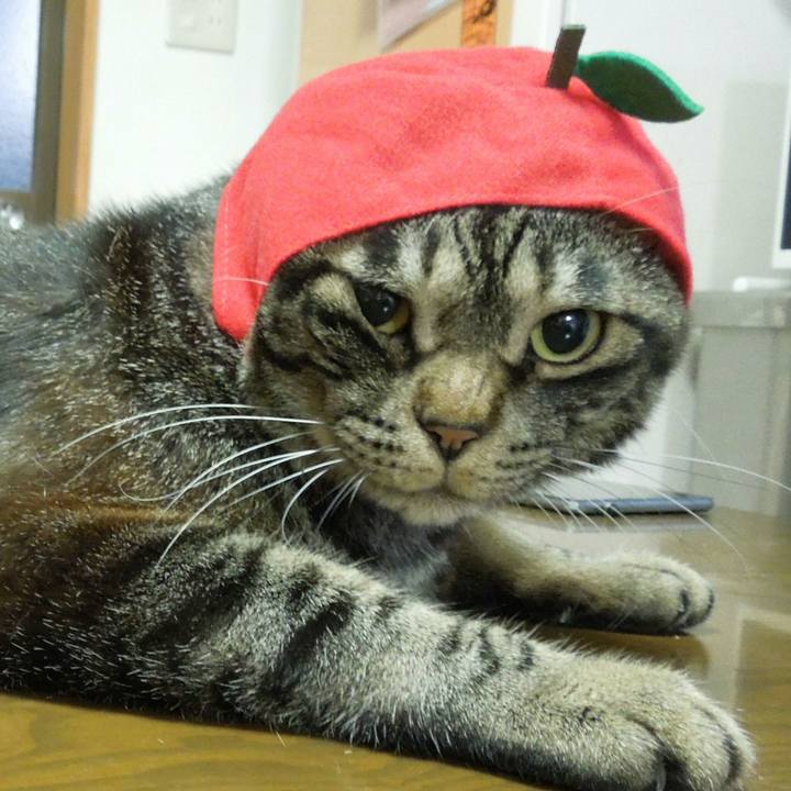 5575265e 78a9 41f4 9f12 1391a9170cab