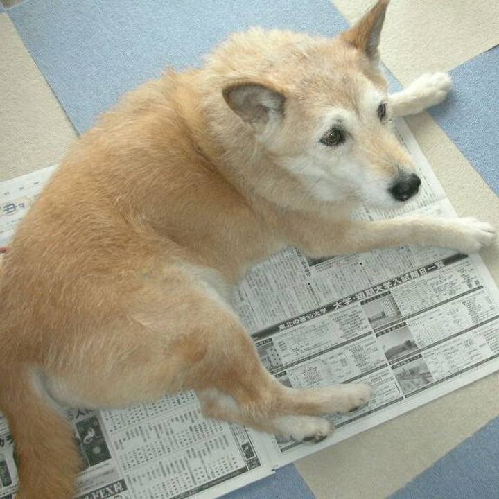 5576543c 798d 4029 801b 67093581f297