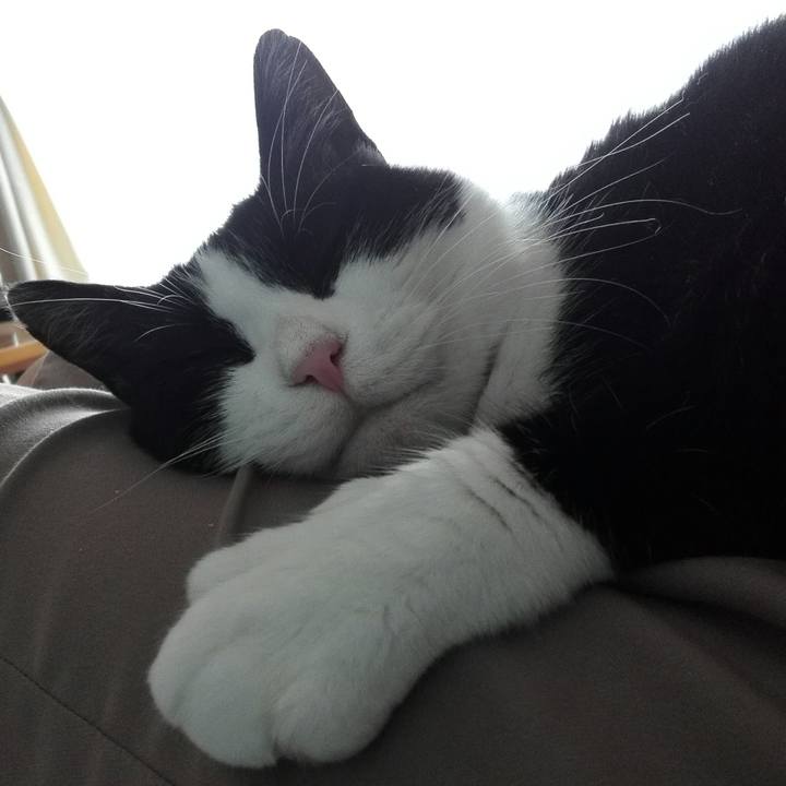 55768375 851e 45fc a89e ea40a46dd948